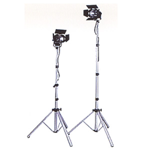 �q�f�I���C�g [A01190020]