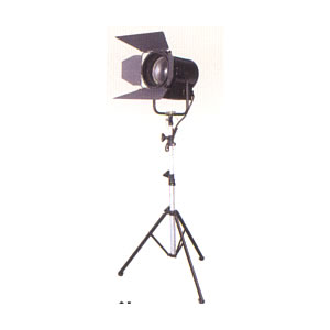 �i�p�X�|�b�g���C�g [A09170072]