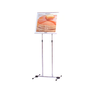 �T�C���X�^���h�@�v�S�T�O [10270032]
